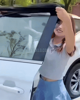 Car Window UV Sunshade Curtains