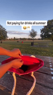 Travel Insulated Wine Dispenser Bag