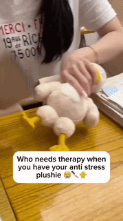 Magnetic Detachable Duck Plush Toy