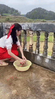 Adjustable High Pressure Hose Nozzle