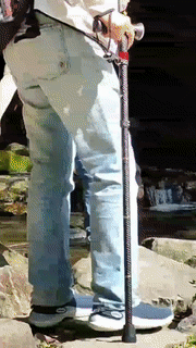 Multifunctional Walking Stick