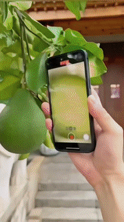 Portable Mobile LED Microscope Lens