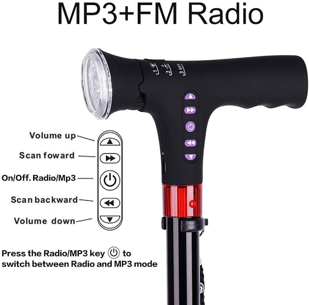 Multifunctional Walking Stick