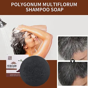 Polygonum Hair Growth Shampoo Bar