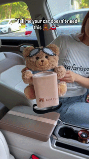 2-in-1 Car Storage Organizer & Tissue Holder