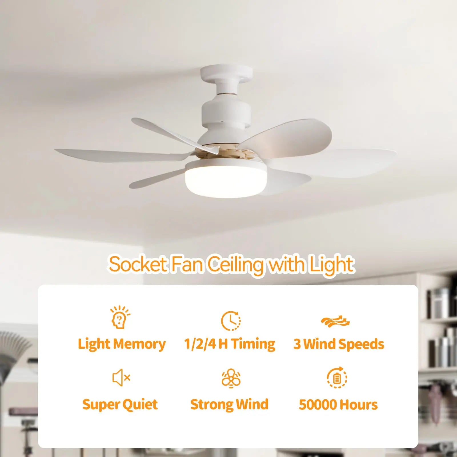 Socket Ceiling Fan with Light