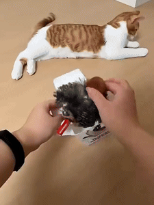 Flapping Bird Interactive Cat Toy