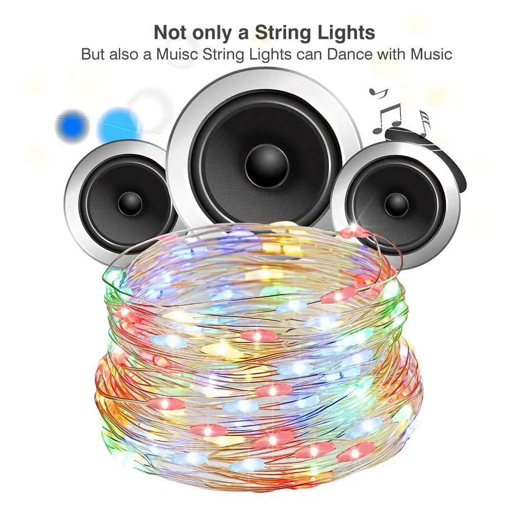 Sound Control Decorative String Light