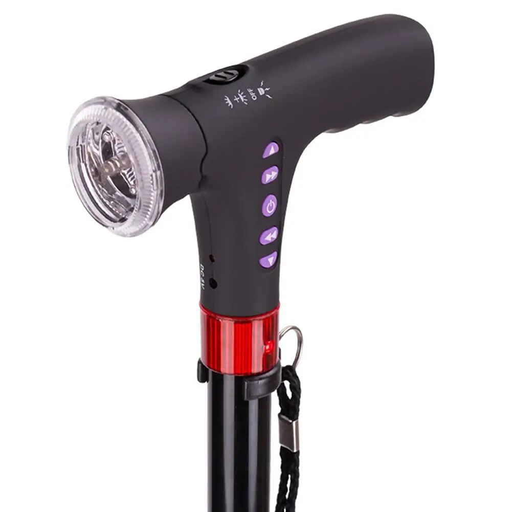 Multifunctional Walking Stick