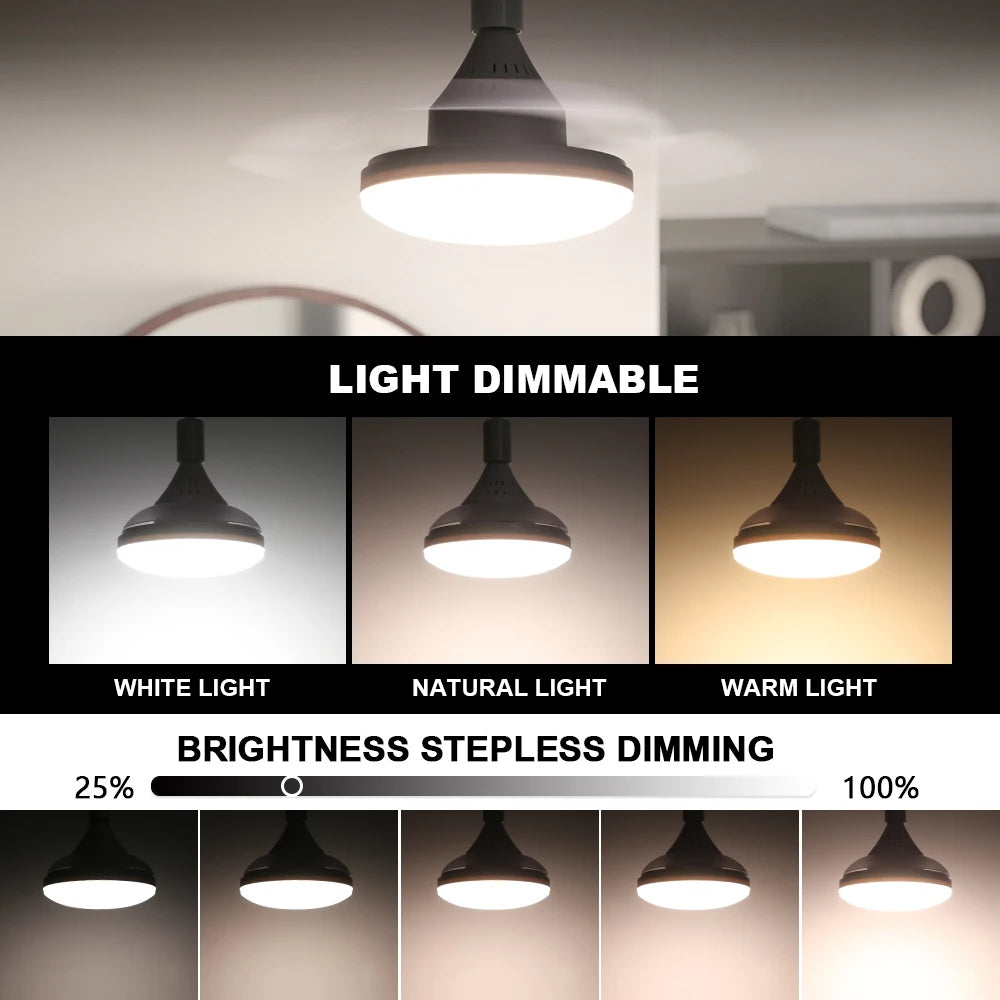 RC 2 in 1 Invisible Blade Ceiling Fan Light