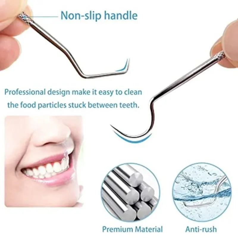 Stainless Steel Reusable Toothpick Set