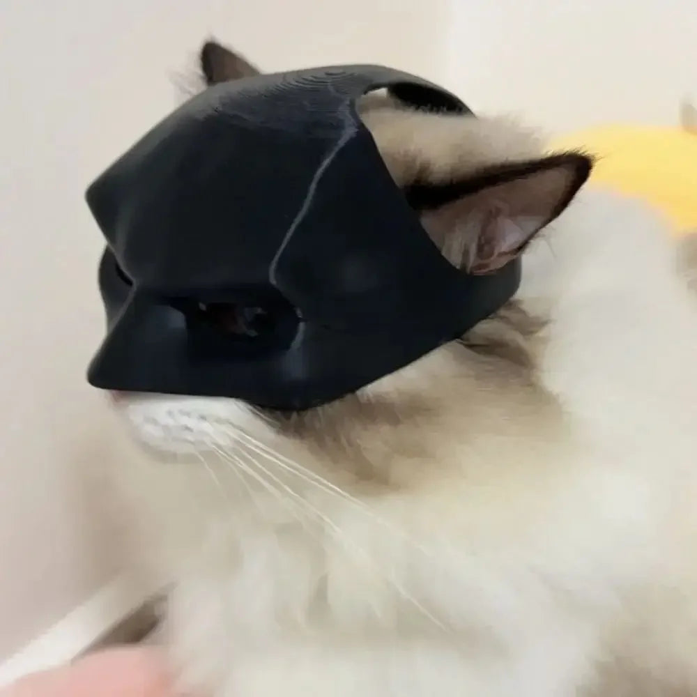 Pet Bat Man Mask