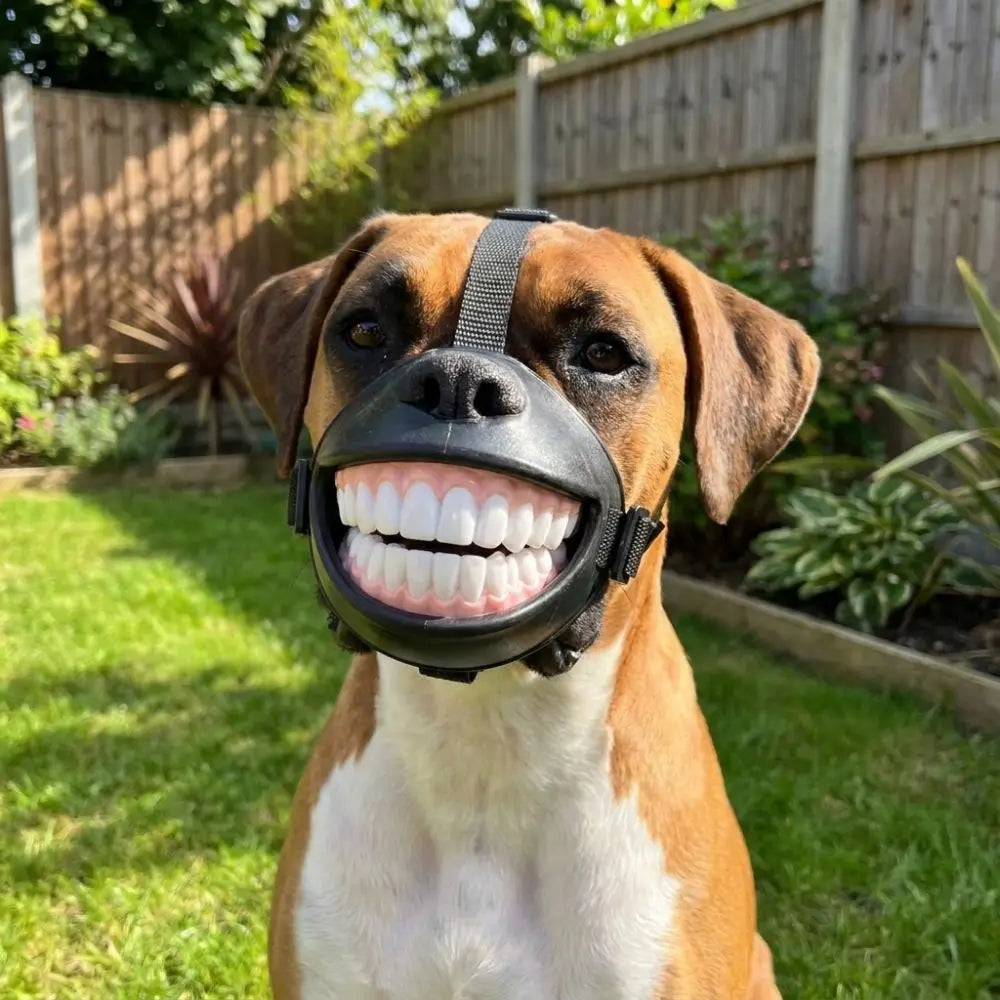 Funny Grinning Dog Muzzle