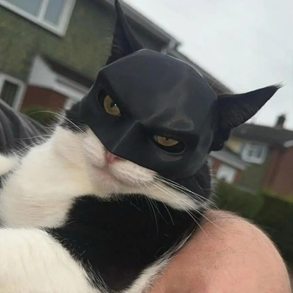 Pet Bat Man Mask
