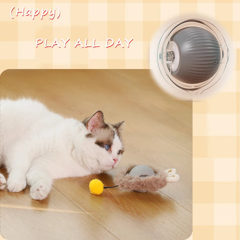 Interactive Cat Play Mat