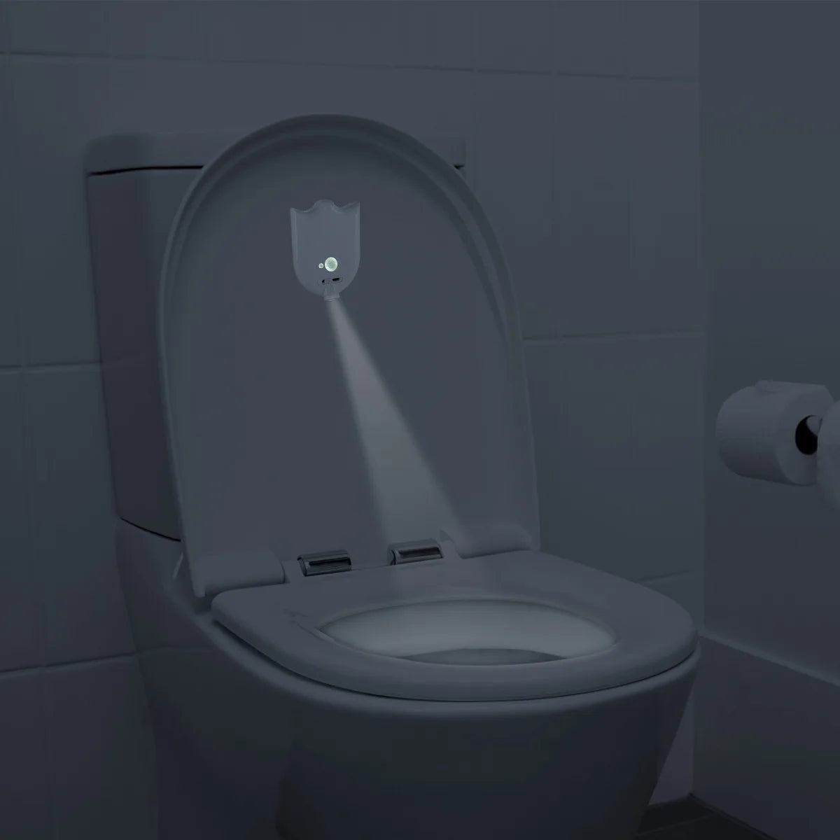 Backlit Toilet LED Sensor Projector