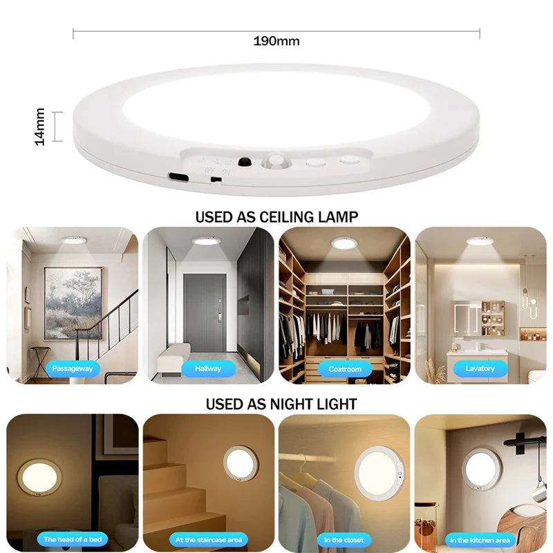 Motion Sensor Ceiling Light With Remote