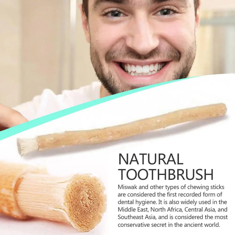 Traditional Teeth Whitening Toothbrush
