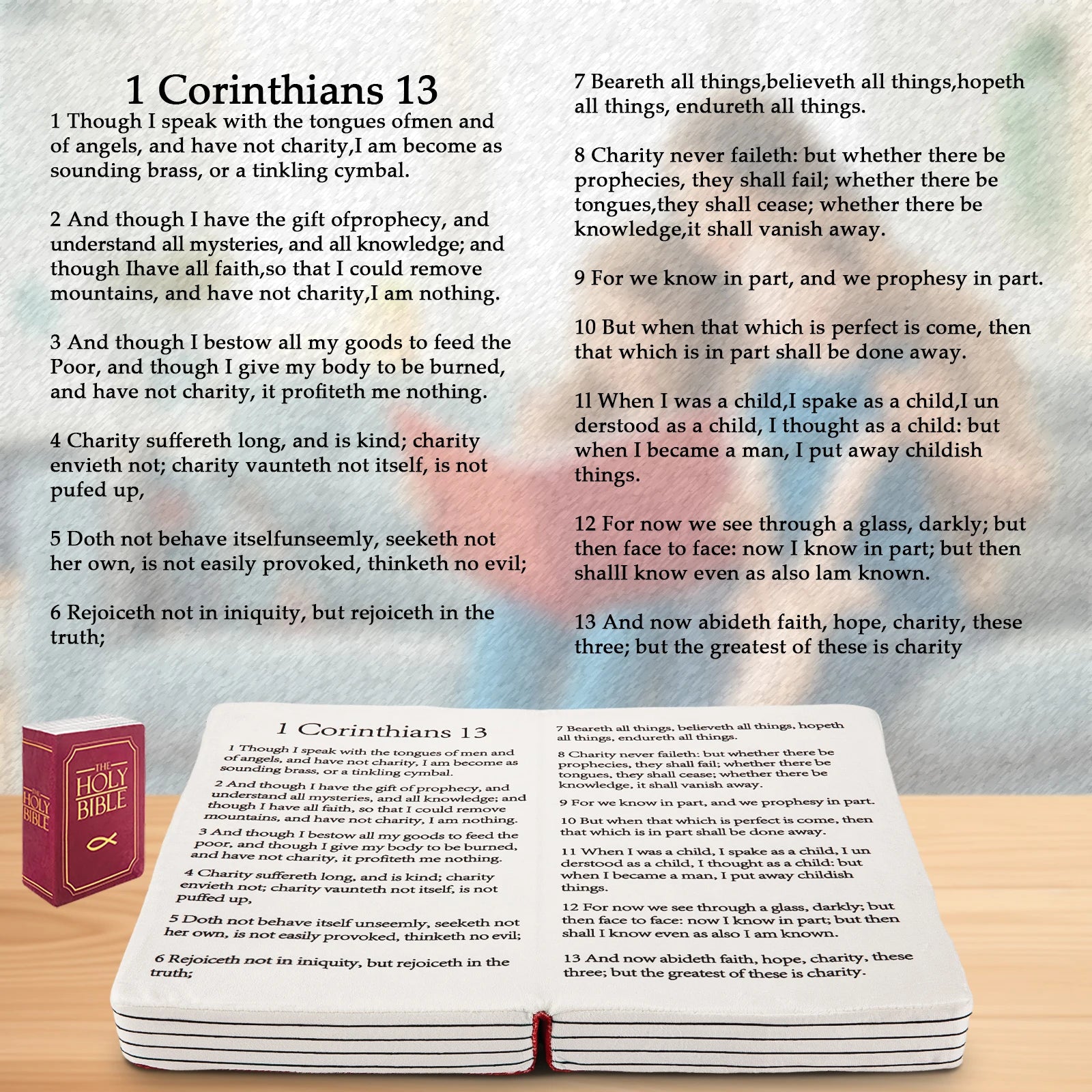 Bible Memory Foam Pillow