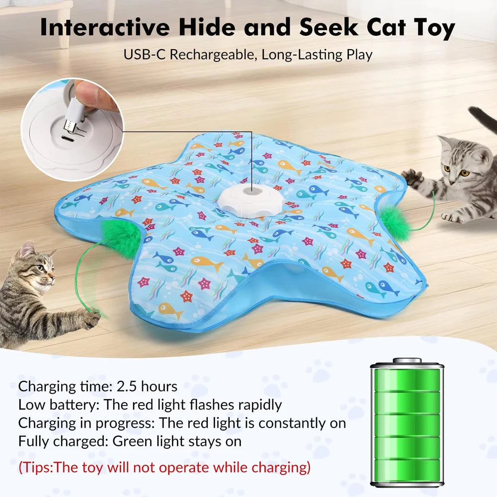 Cat Interactive Hide and Seek Toy