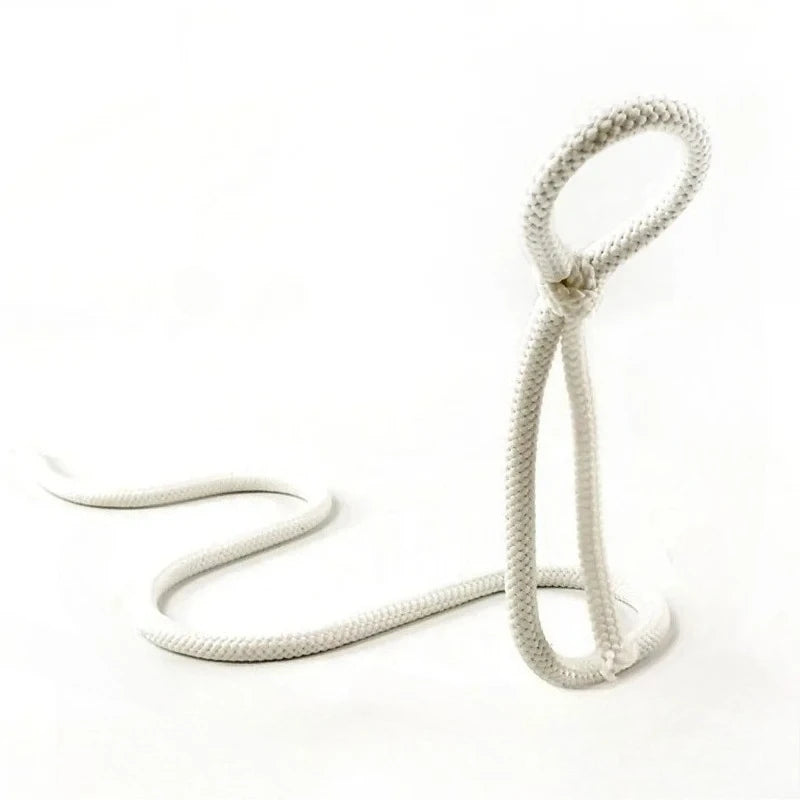 Fancy Wine Bottle Holder