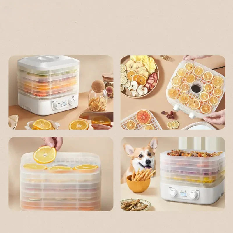 Intelligent Thermostatic Food Dehydrator Machine