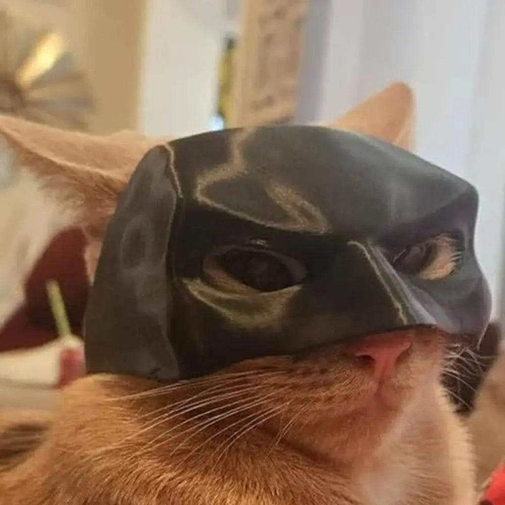 Pet Bat Man Mask