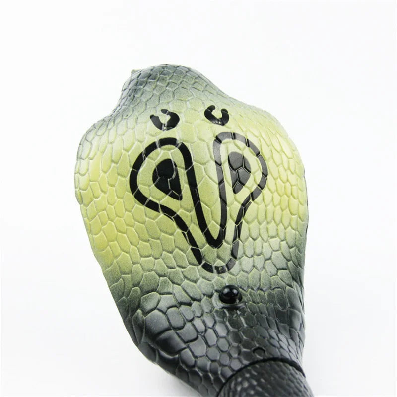 USB Rechargeable RC Snake Toy