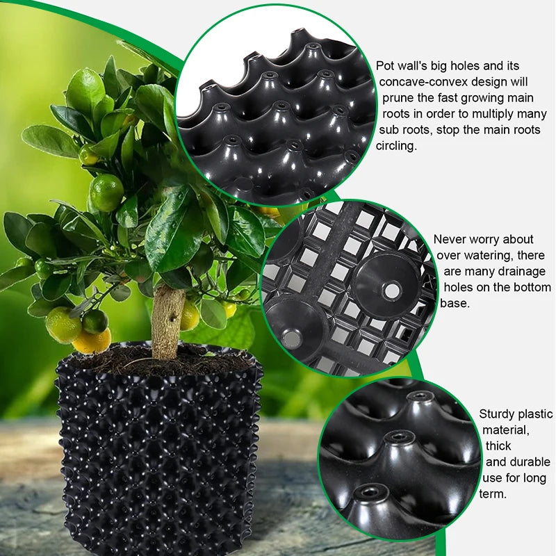 Air Pruning Fast Root Grow Container