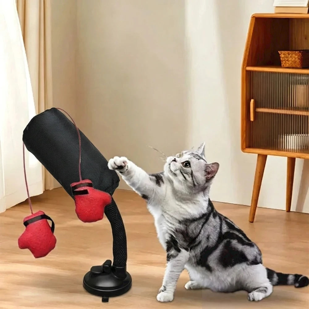 Interactive Cat Boxing Toy