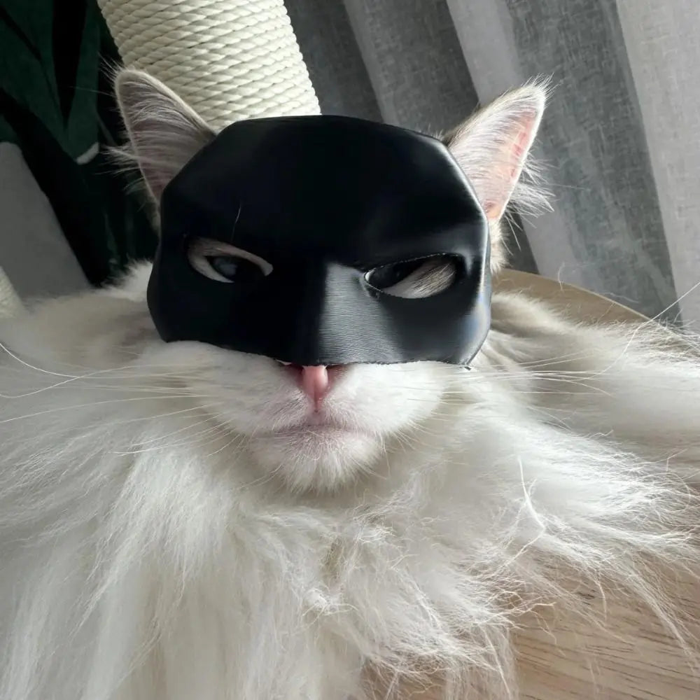 Pet Bat Man Mask
