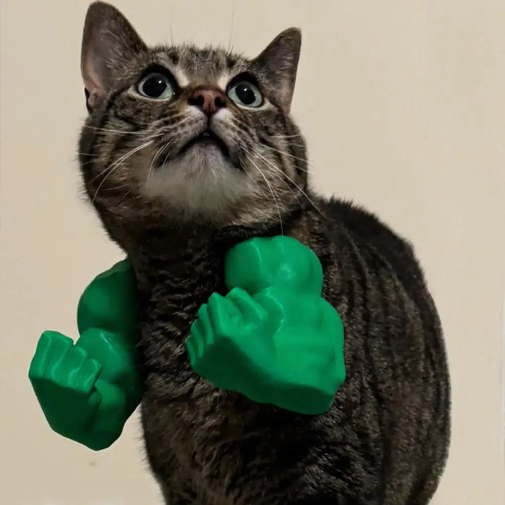 Funny Cat Muscle Arms