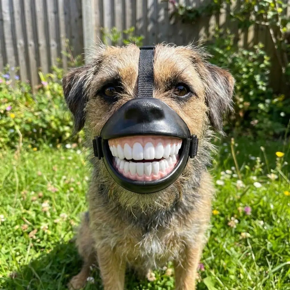 Funny Grinning Dog Muzzle