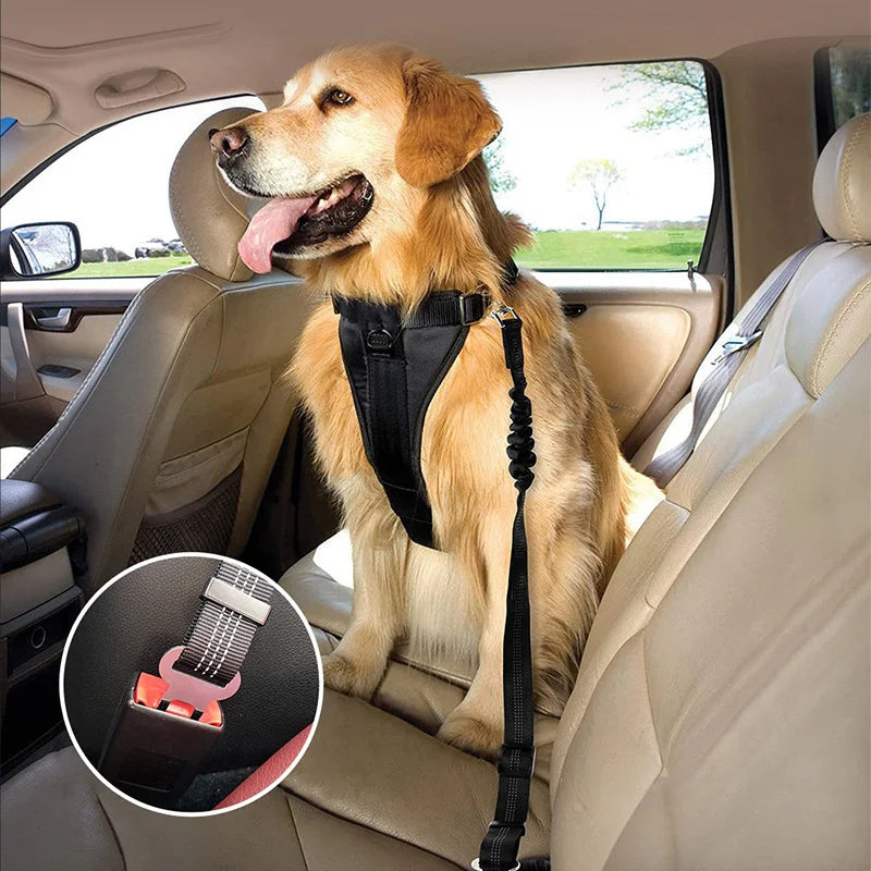 Pet Car Safety Belt