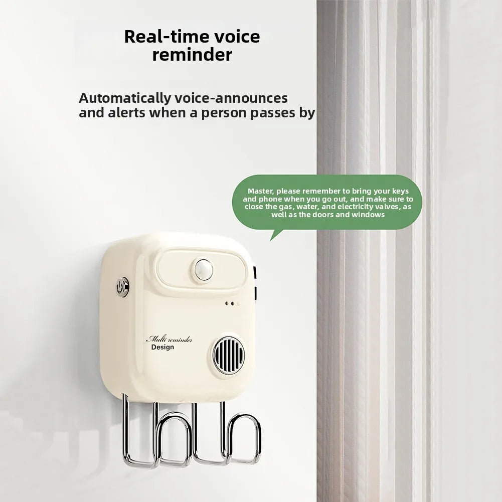 Motion Sensor Reminder Key Organizer