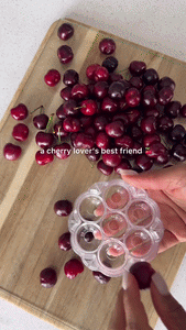 Cherry & Olive Pitter Tool