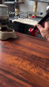 Interactive Cat Boxing Toy