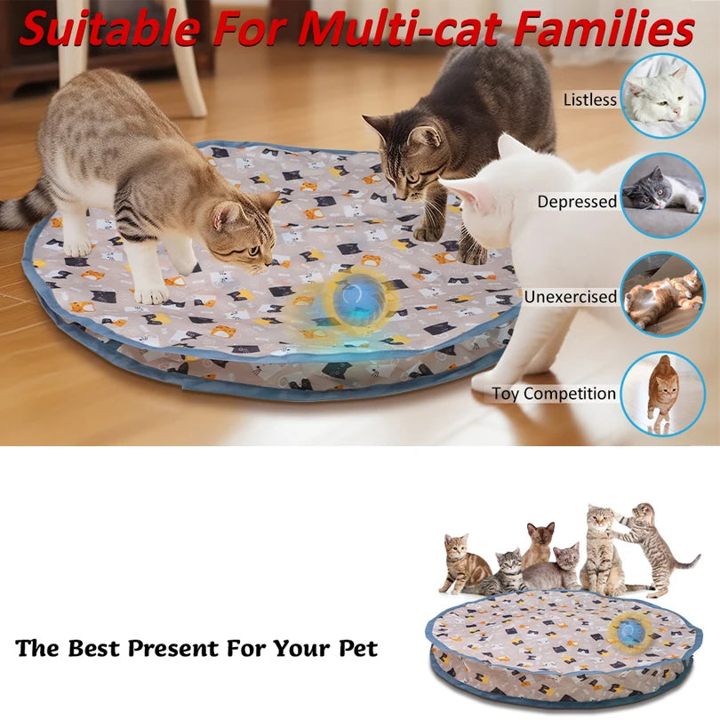 Interactive Cat Play Mat