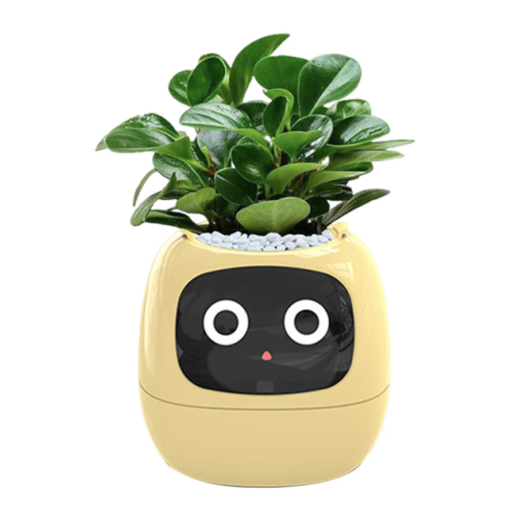 Rechargeable Smart AI Flowerpot