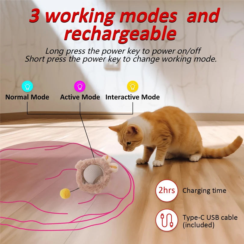Interactive Cat Play Mat