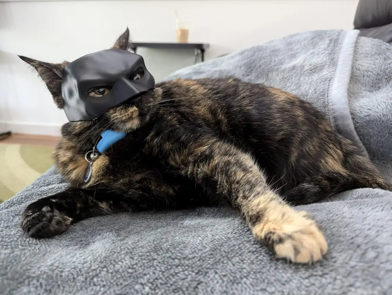 Pet Bat Man Mask