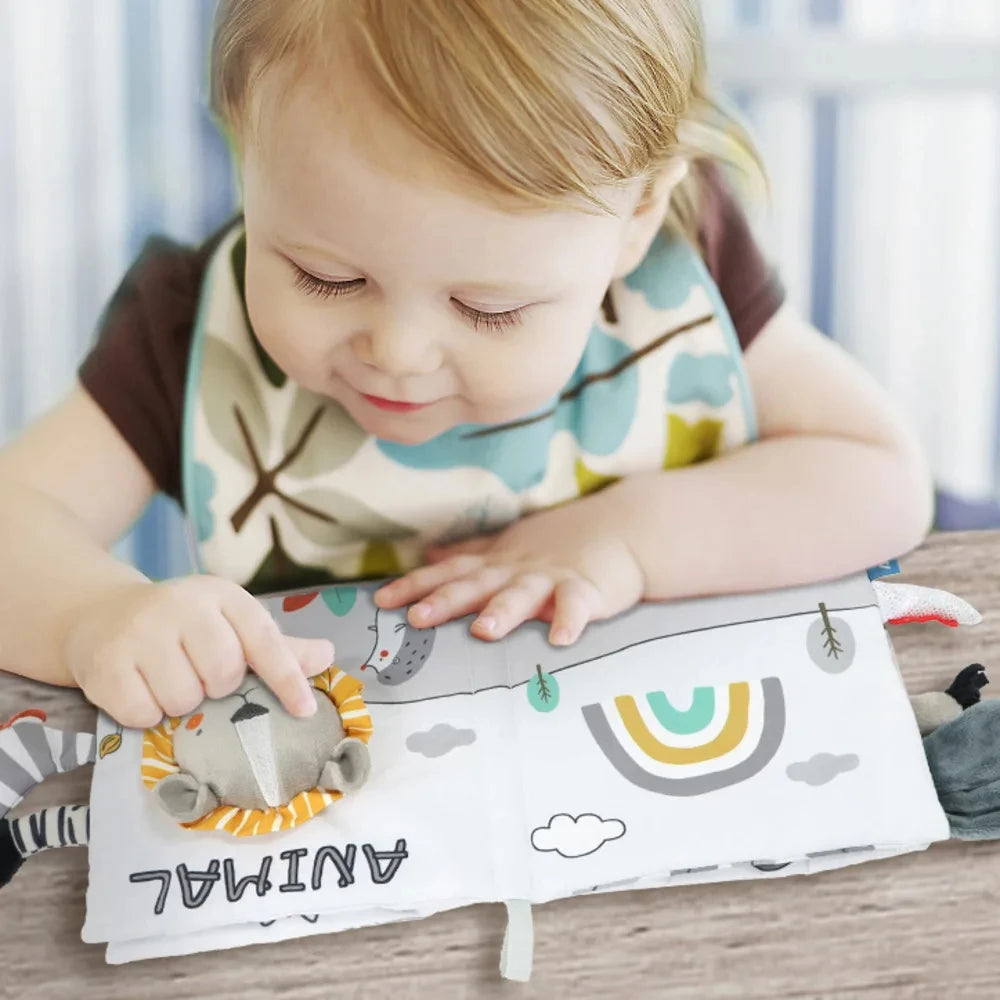 Baby Sensory Educational Book