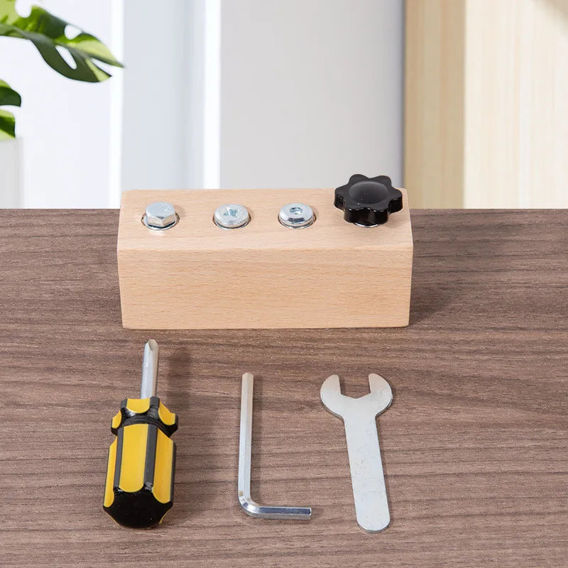Kids Wooden Screw Nut Disassembly Toy