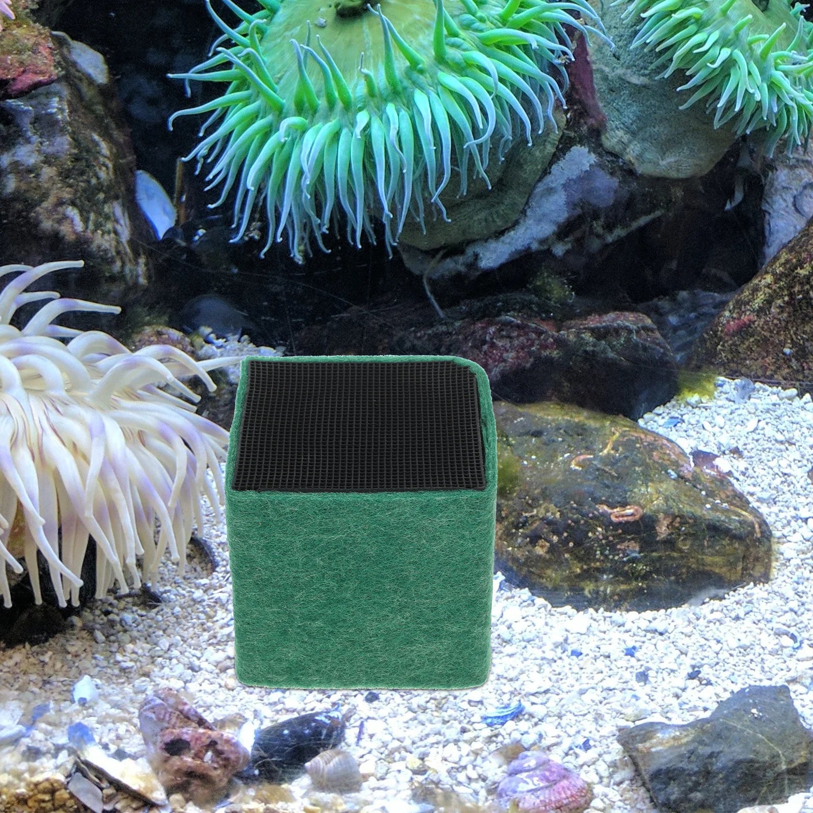 Fish Tank Cube Mesh Filter