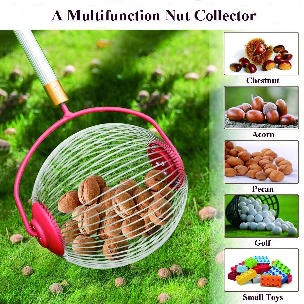 Rolling Nuts Collector