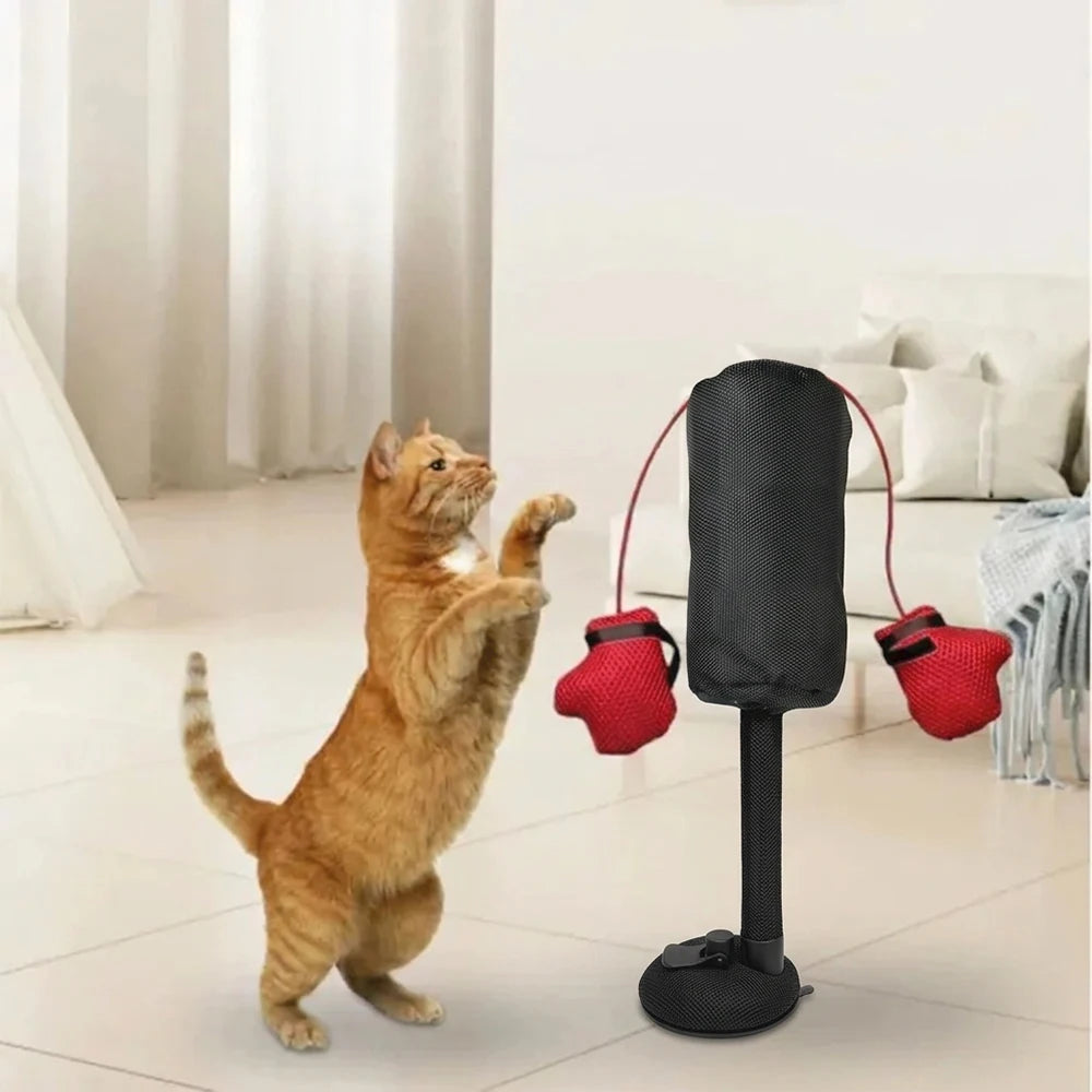 Interactive Cat Boxing Toy