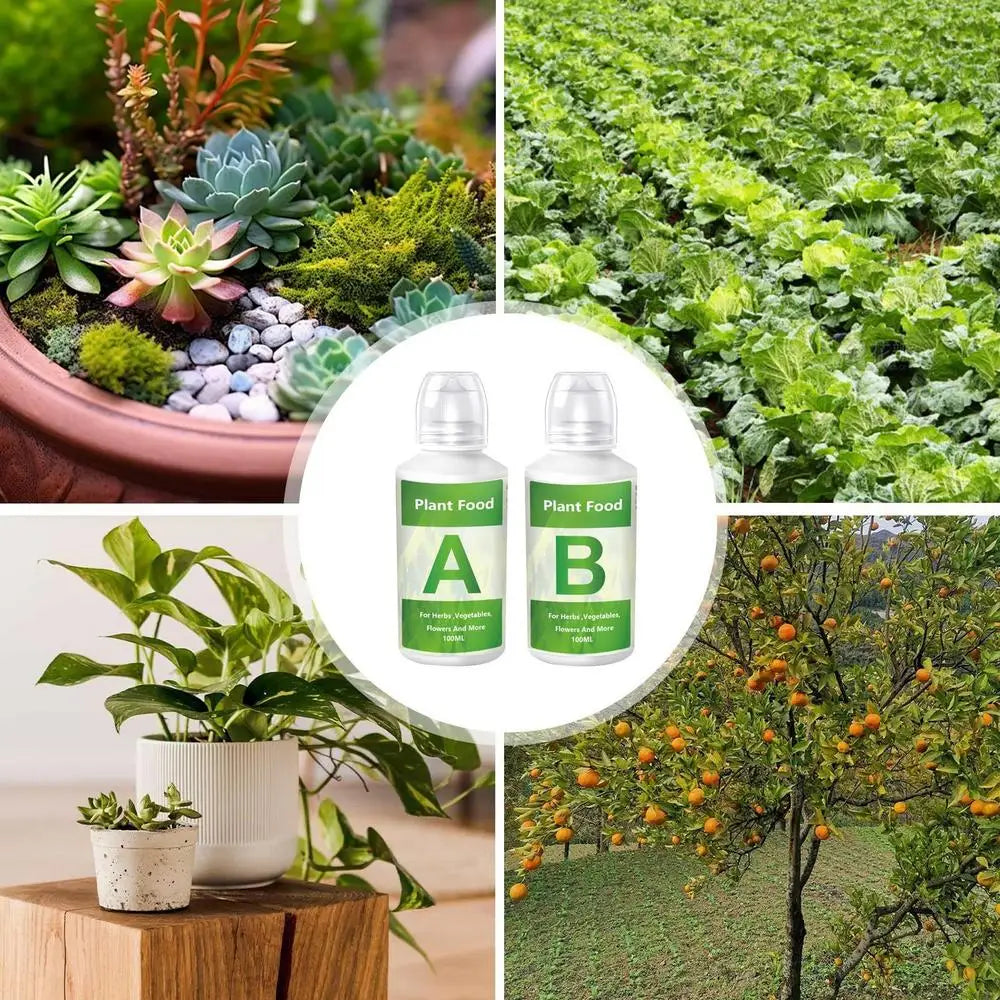 Hydroponic Garden Plant Fertilizer