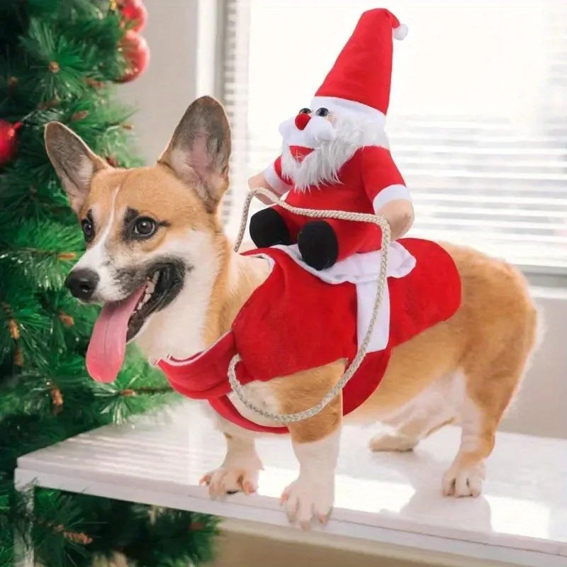 Santa Paws Reindeer Outfit