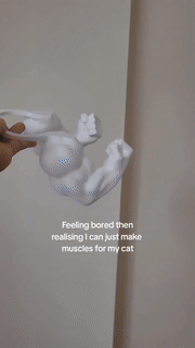 Funny Cat Muscle Arms