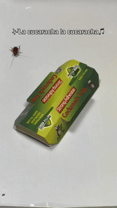 10 Pack Roach Baited Glue Traps